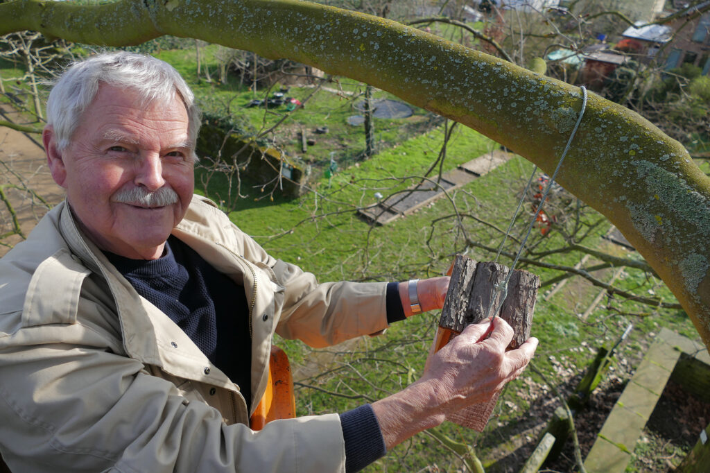 Knut-Hendrik im Baum