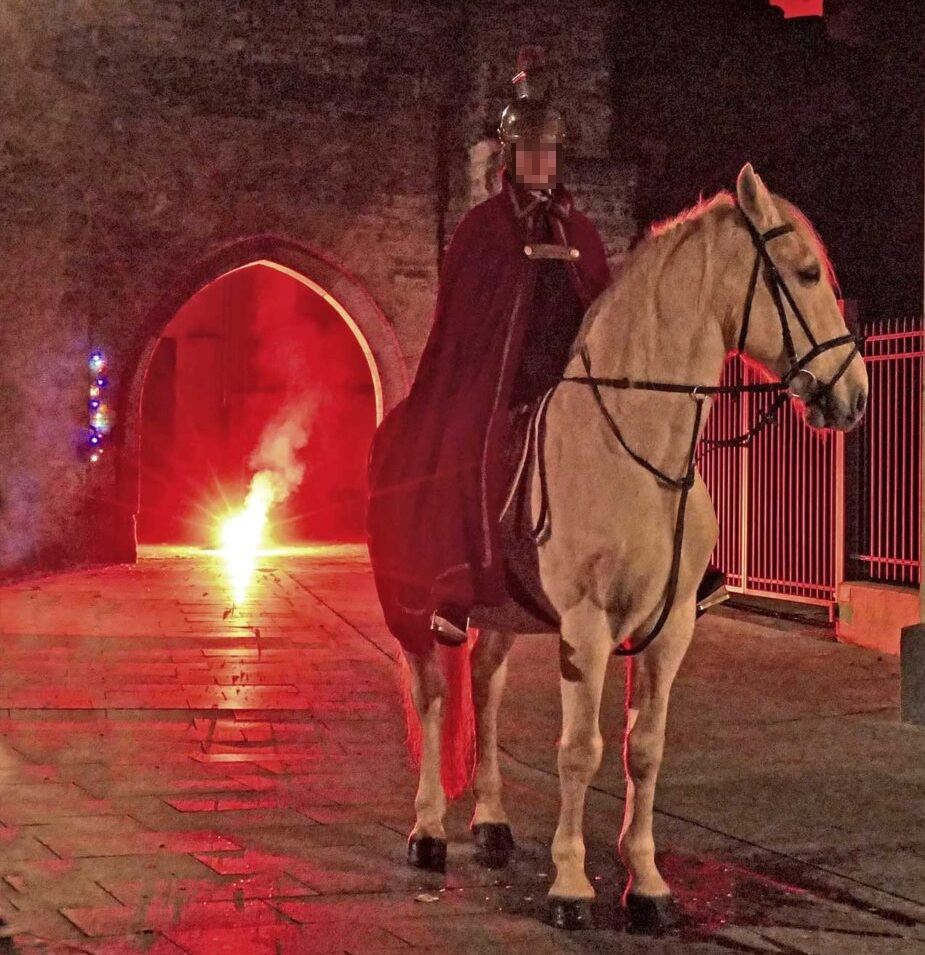 Sankt Martin - Umzug